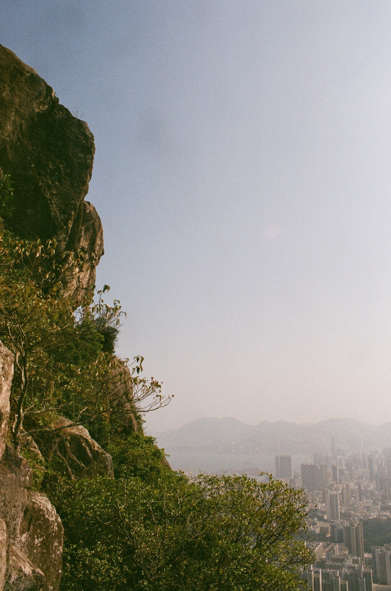 Kodak GOLD #21